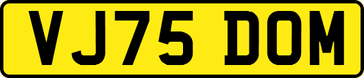 VJ75DOM