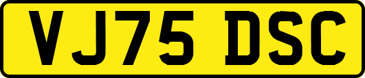 VJ75DSC