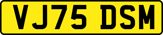 VJ75DSM