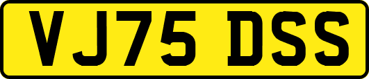 VJ75DSS
