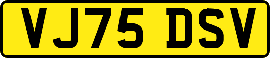 VJ75DSV