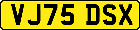 VJ75DSX