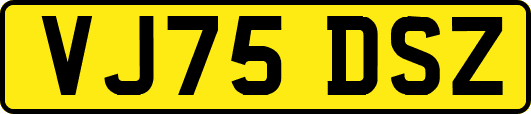 VJ75DSZ