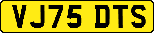 VJ75DTS