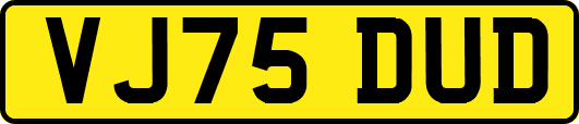 VJ75DUD
