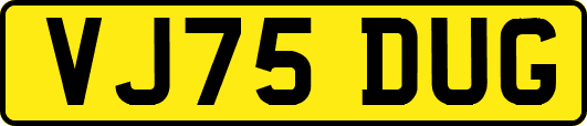 VJ75DUG
