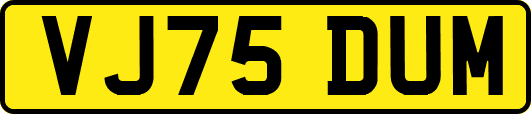 VJ75DUM