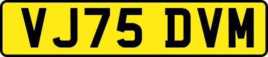 VJ75DVM