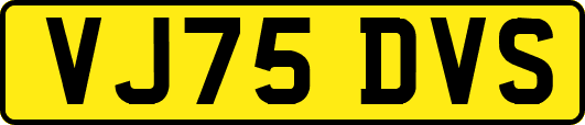VJ75DVS