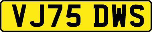 VJ75DWS
