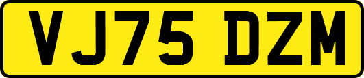 VJ75DZM