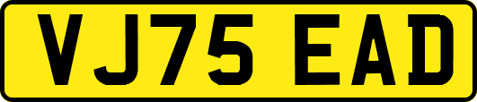 VJ75EAD