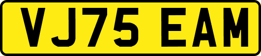 VJ75EAM