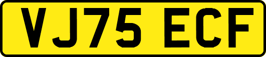 VJ75ECF