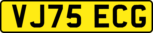 VJ75ECG