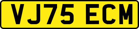 VJ75ECM