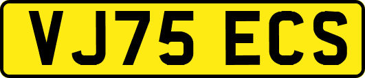 VJ75ECS