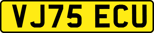 VJ75ECU