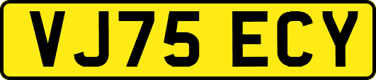 VJ75ECY