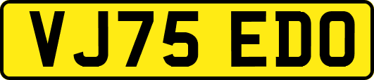 VJ75EDO