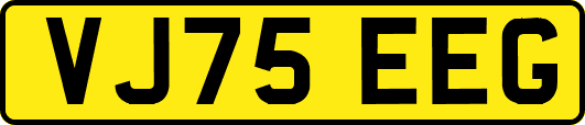 VJ75EEG