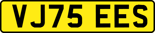 VJ75EES