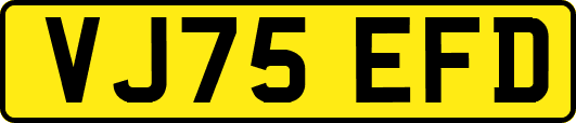 VJ75EFD