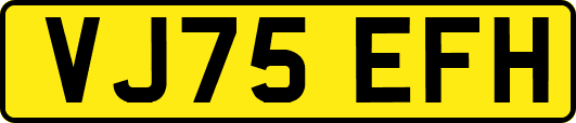 VJ75EFH