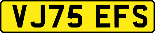 VJ75EFS