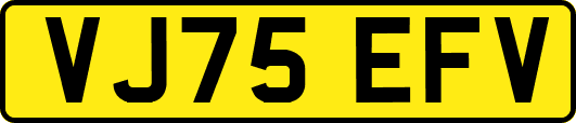 VJ75EFV