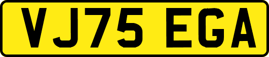VJ75EGA