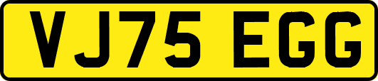 VJ75EGG