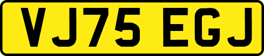 VJ75EGJ