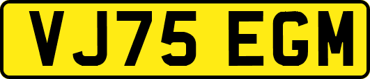VJ75EGM