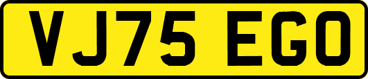 VJ75EGO