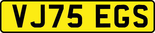 VJ75EGS