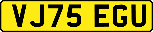VJ75EGU