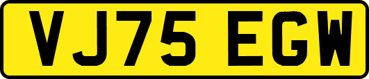 VJ75EGW