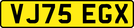 VJ75EGX