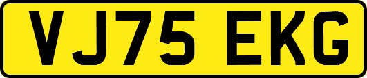 VJ75EKG