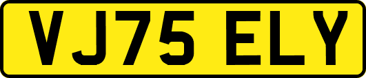 VJ75ELY