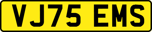 VJ75EMS