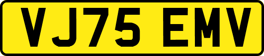 VJ75EMV