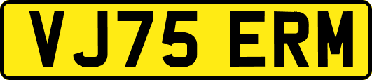 VJ75ERM
