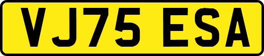 VJ75ESA