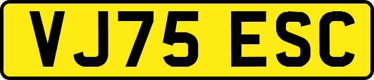 VJ75ESC