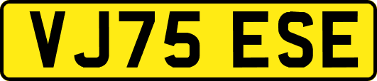 VJ75ESE