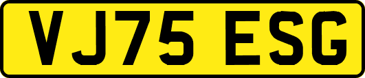 VJ75ESG