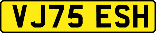 VJ75ESH