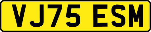VJ75ESM